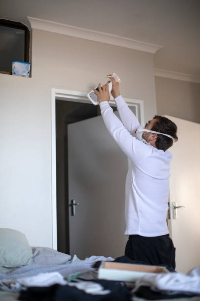 Best Comprehensive Air Testing for Mold Contaminants  in Willow Creek, CA